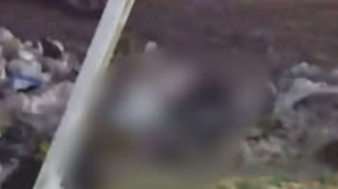 جانب من الواقعة 