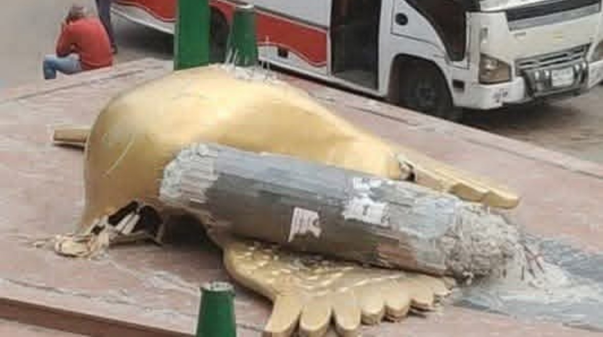 إزالة الحمامة العمياء أيقونة الهلالي 