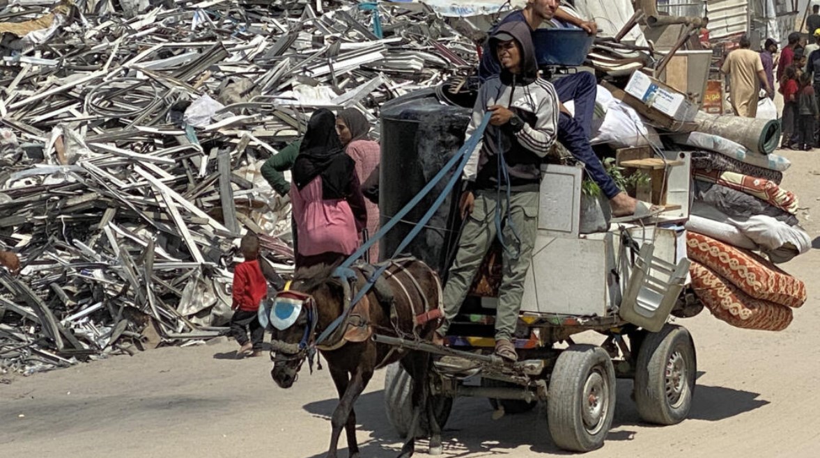 الحمار وسيلة النقل الوحيدة في غزة