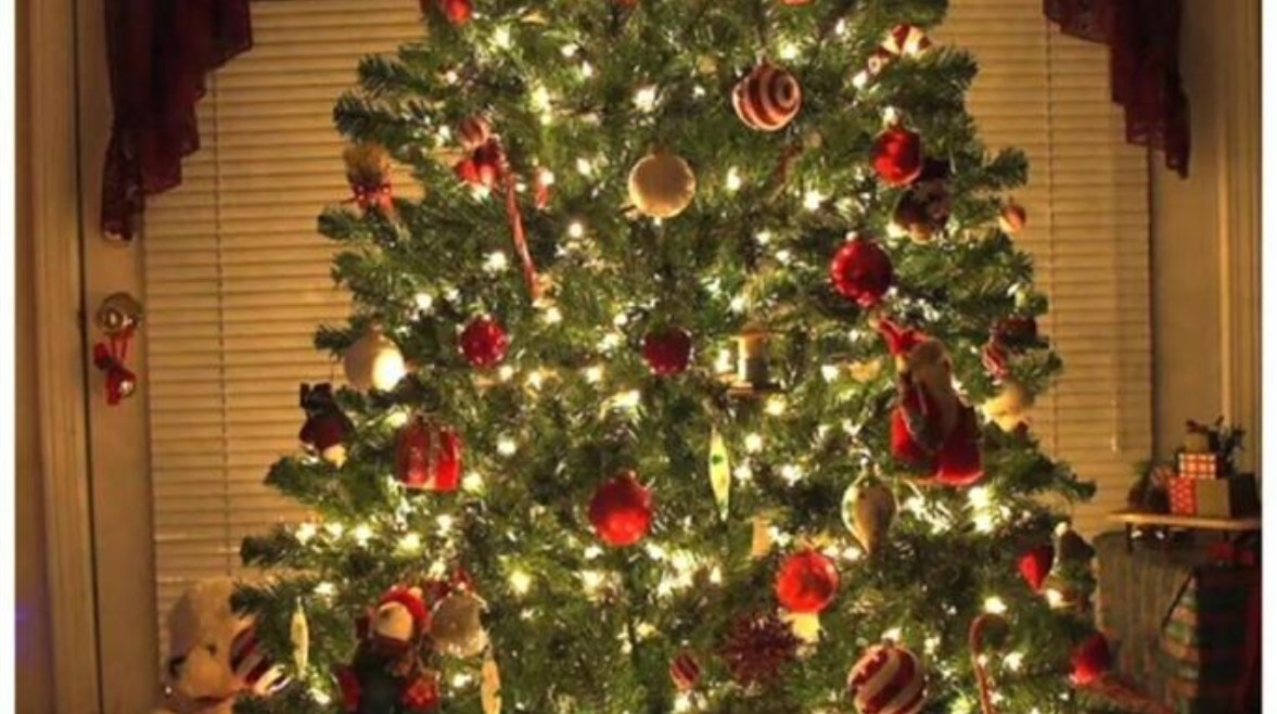 شجرة الكريسماس 