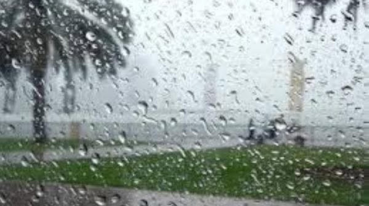 حالة الطقس غدا  