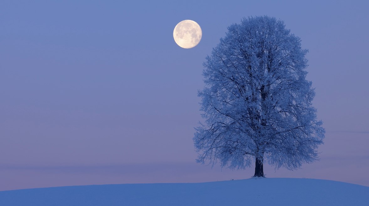 القمر البارد 2025