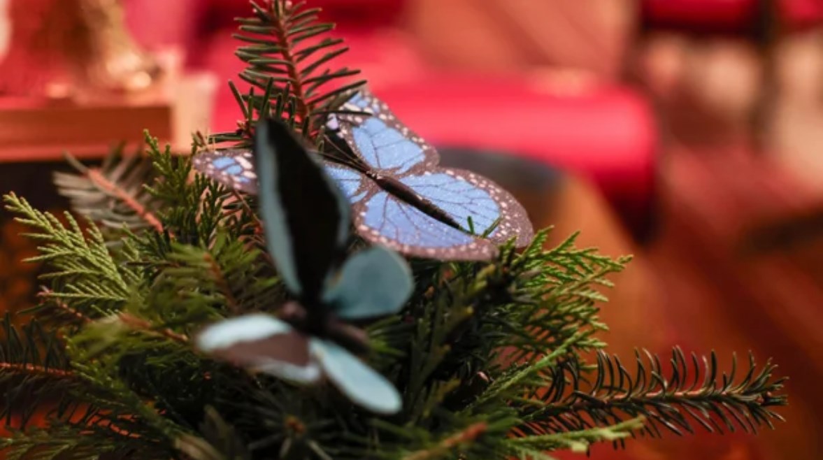 الفراشات الزرقاء