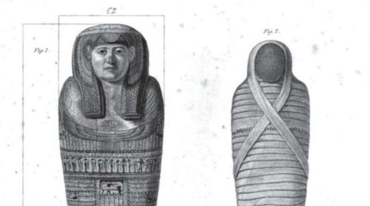 السل في مصر القديمة