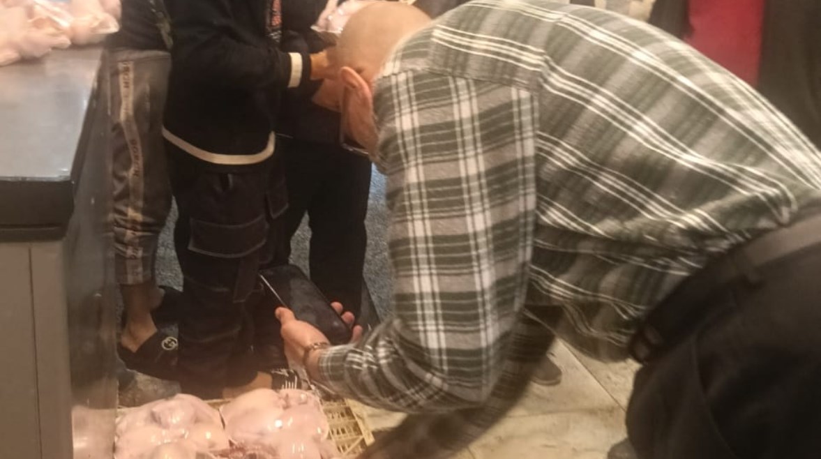 تشميع محل دواجن