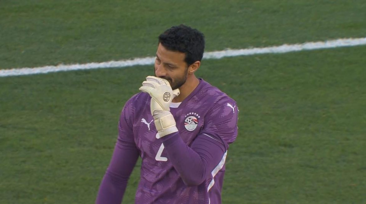 محمد الشناوي 