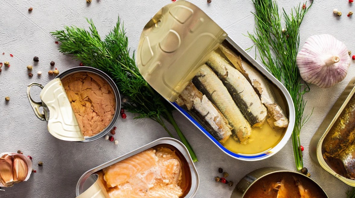 أسماك السردين والتونة