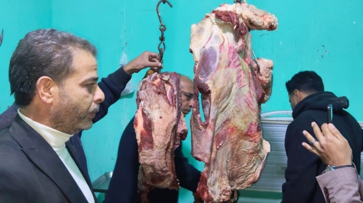 صورة من ضبط اللحوم الفاسدة 