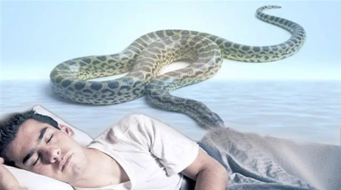 تفسير حلم لدغة الثعبان في القدم اليمنى