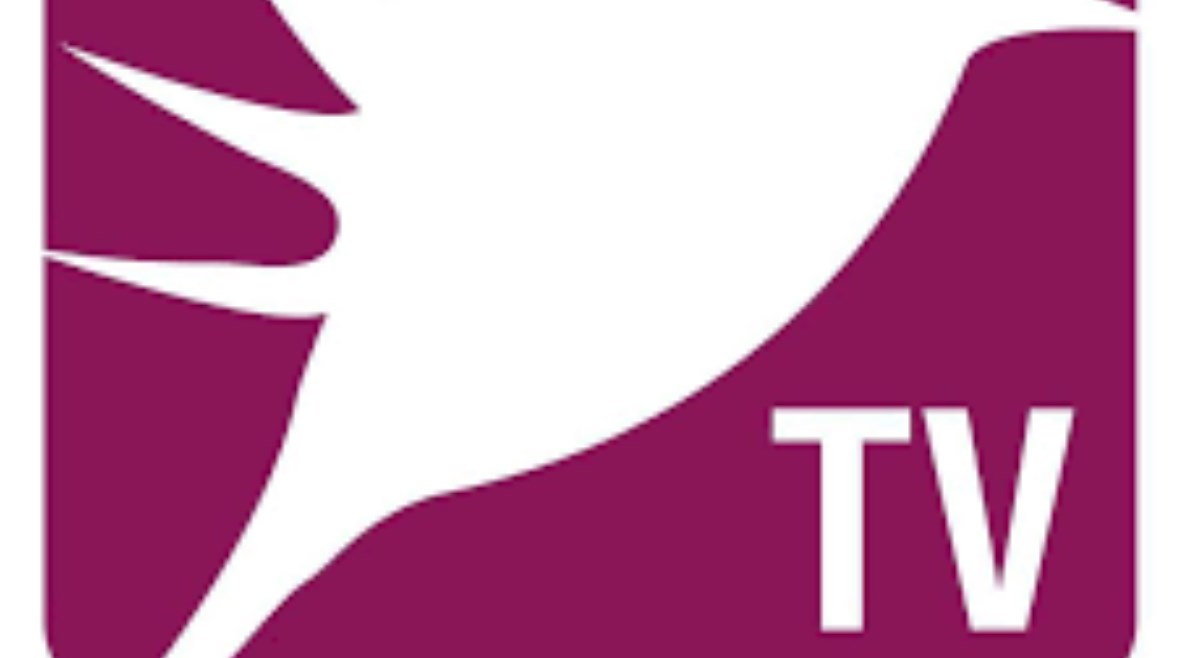  تردد قناة Murex TV الجديد على نايل سات 2025