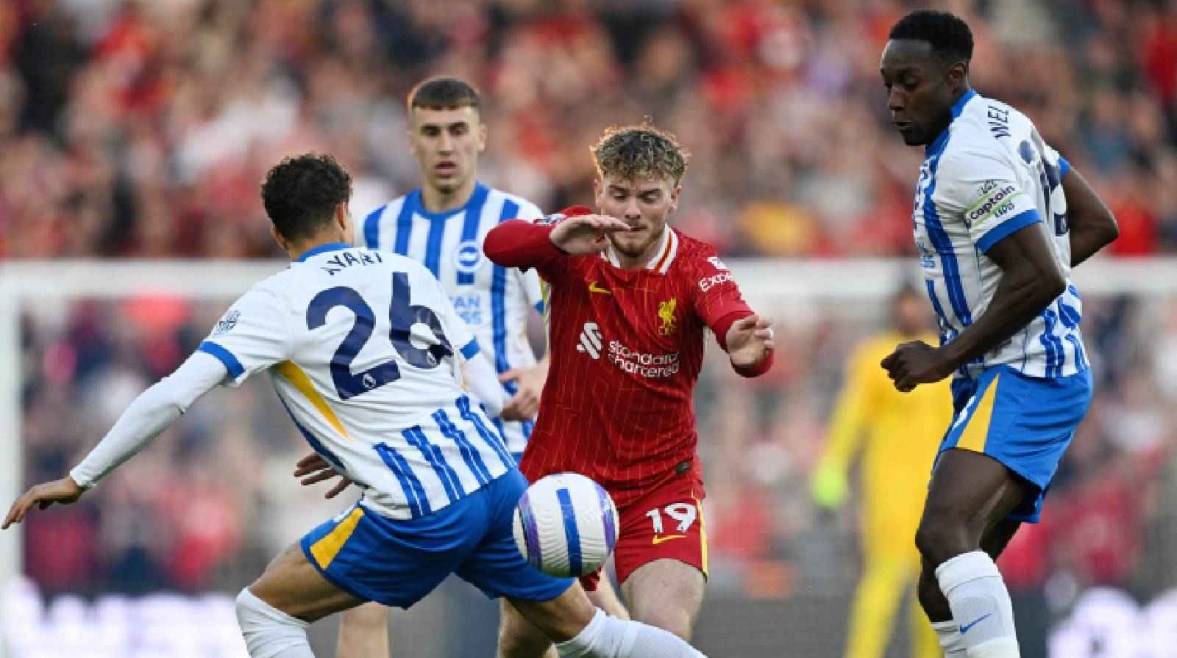 ليفربول ضد برايتون