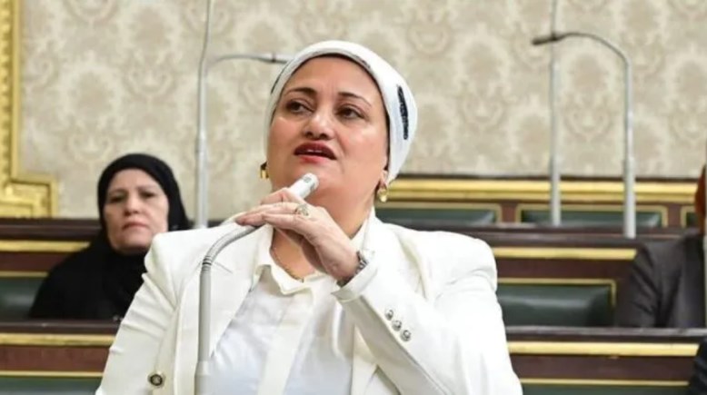 النائبة سناء السعيد عضو مجلس النواب