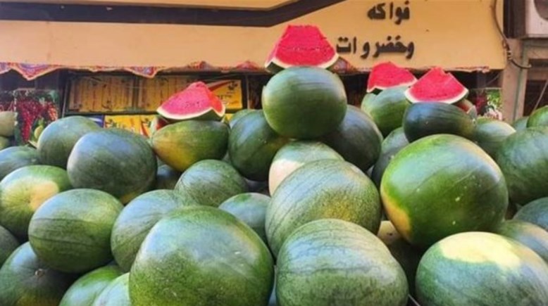 البطيخ في مصر