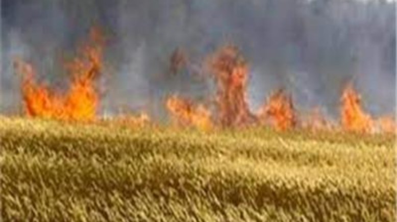أرشيفية 