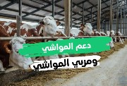 متى ينزل دعم المواشي هذا الشهر مايو 2025 بالسعودية؟