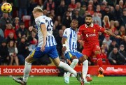 برايتون ضد ليفربول