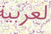 موضوع تعبير عن اللغة العربية للصف الثاني الإعدادي 2025.