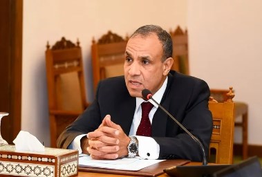 وزير الخارجية، بدر عبد العاطي