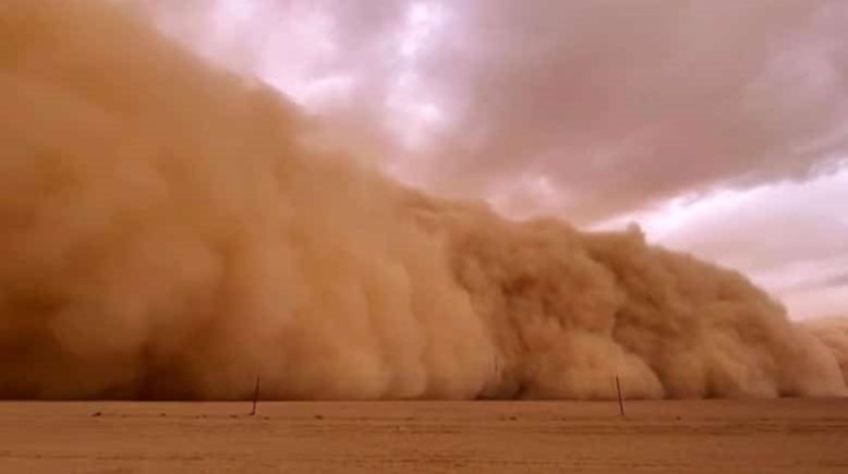 العاصفة شيماء