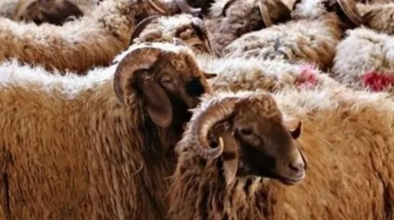 بدء إجازة عيد الأضحى في السعودية 2025
