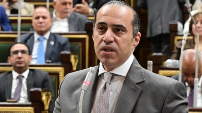وزير الشئون النيابية المستشار محمود فوزي