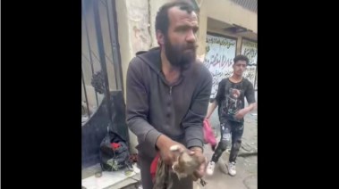 صورة من مقطع الفيديو المتداول لتعذيب القطط