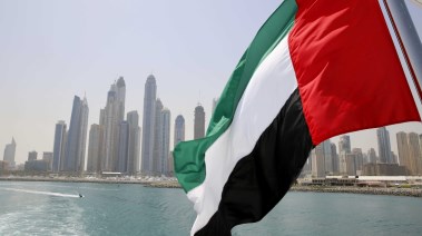 علم دولة الإمارات 