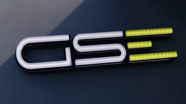 علامة GSE