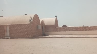 مشروع أمهات الدواجن الأكبر في الشرق الأوسط بالمنيا 
