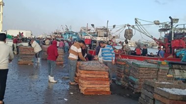 ميناء البرلس بكفر الشيخ 