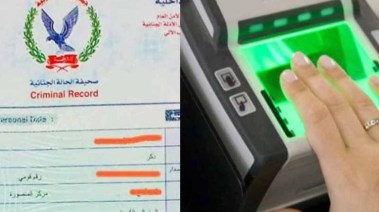 الفيش الجنائي 