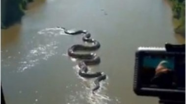 صورة من المقطع المنتشر
