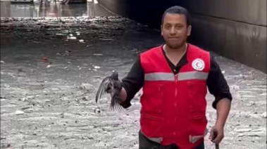 محمد شعبان أحد رجال الهلال الأحمر