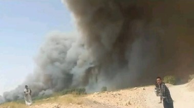 حريق بالغابة الشجيرية بقنا 