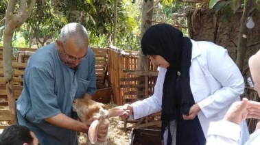جانب من التطعيم 