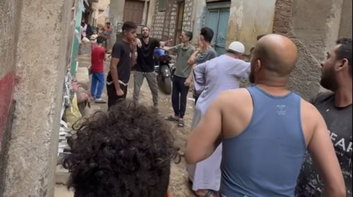 جانب من فيديو القطط بأسيوط جانب من فيديو القطط بأسيوط