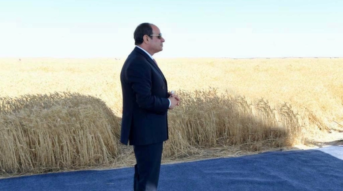 الرئيس عبد الفتاح السيسي الرئيس عبد الفتاح السيسي