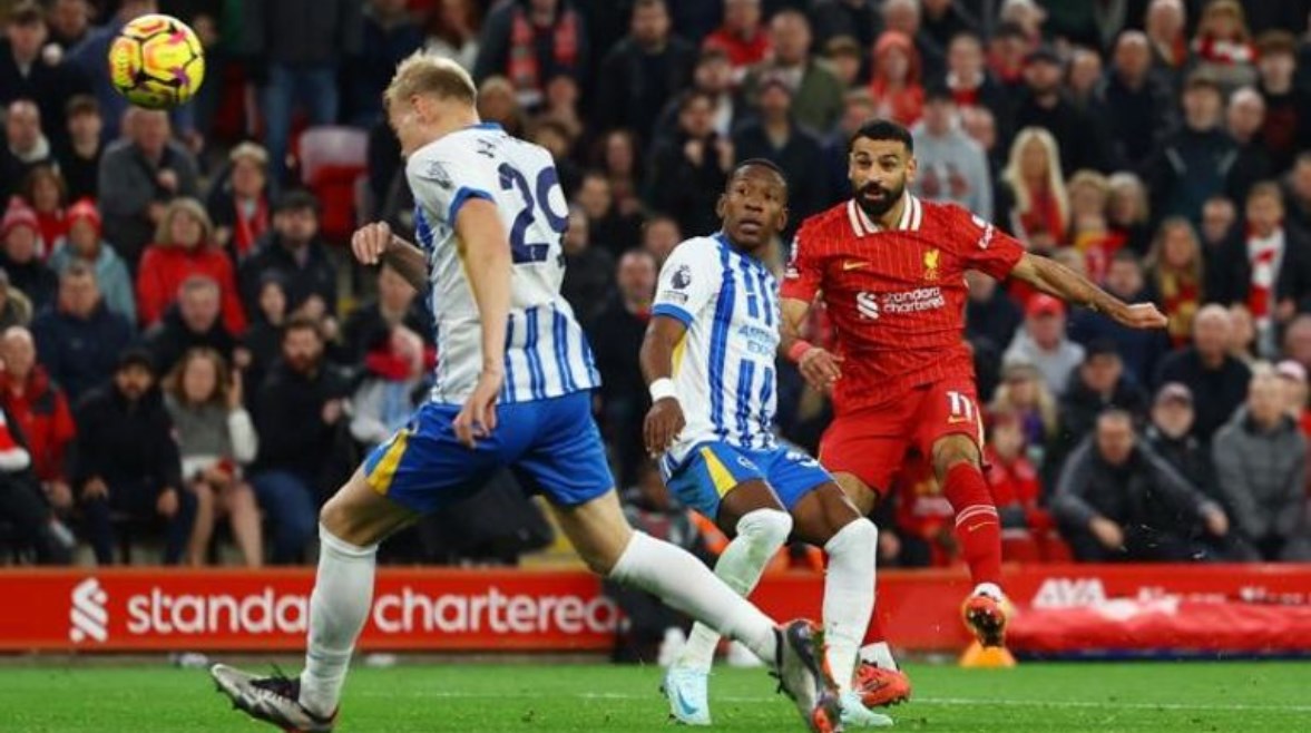 برايتون ضد ليفربول برايتون ضد ليفربول