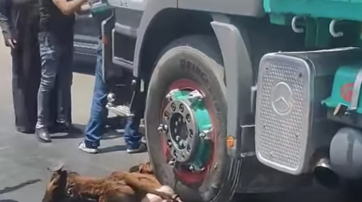 جانب من الحادث جانب من الحادث