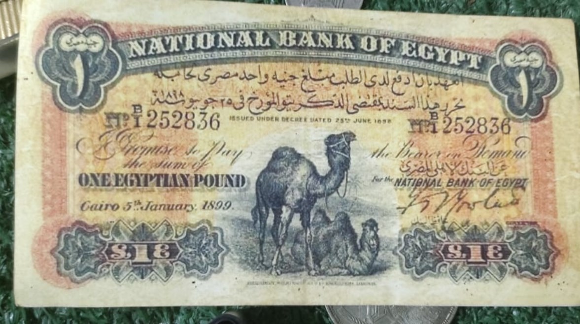 عملة نادرة عملة نادرة