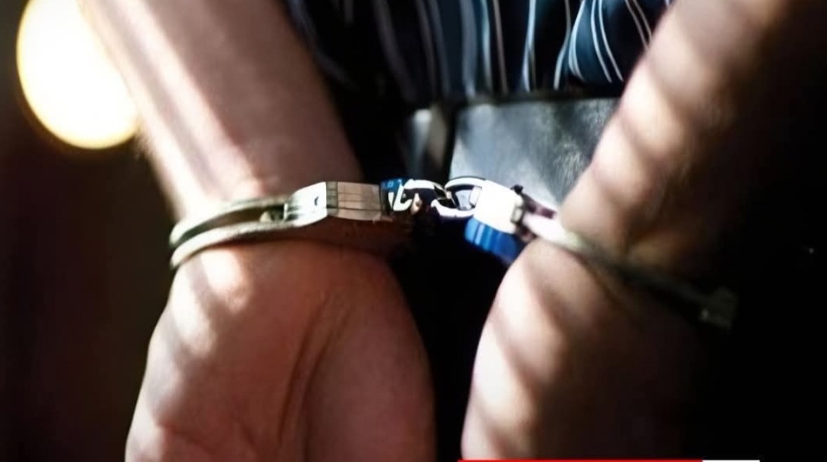القبض على شاب ذبح قطة في بث مباشر من الأقصر القبض على شاب ذبح قطة في بث مباشر من الأقصر