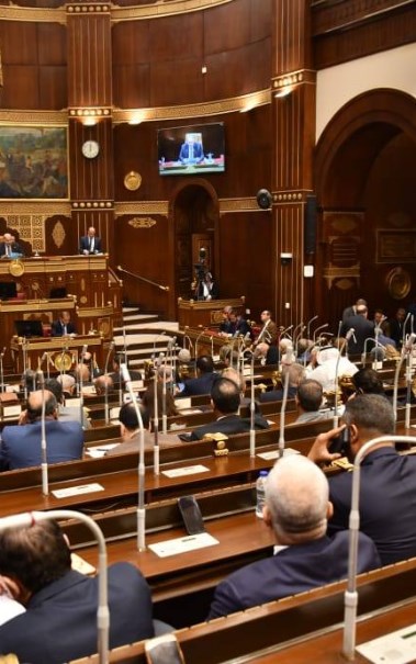 مجلس الشيوخ