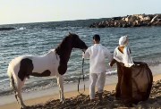  إعلان حمل ميار وصلاح عبر اليوتيوب