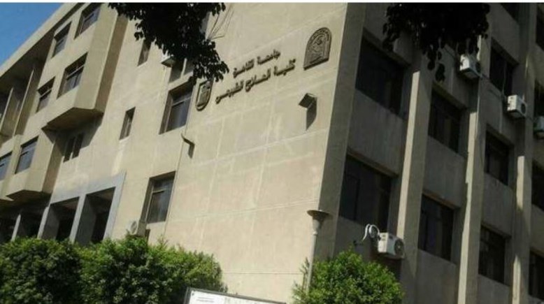 كلية العلاج الطبيعي بجامعة القاهرة 