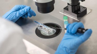 عملية تخصيب معملي