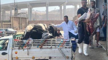 المجازر الحكومية