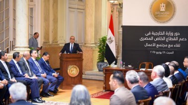 وزير الخارجية والهجرة، بدر عبد العاطي