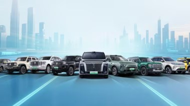 شركة جريت وول موتورز  