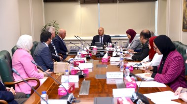 وزير الصناعة كامل الوزير