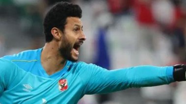 محمد الشناوي